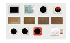 Ѩλ�N���a�S��